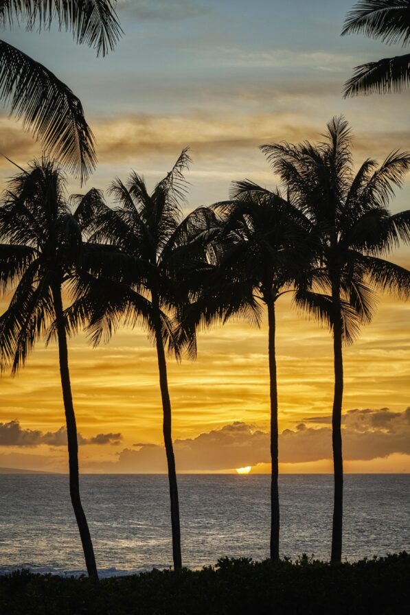 advertising-resort-montage