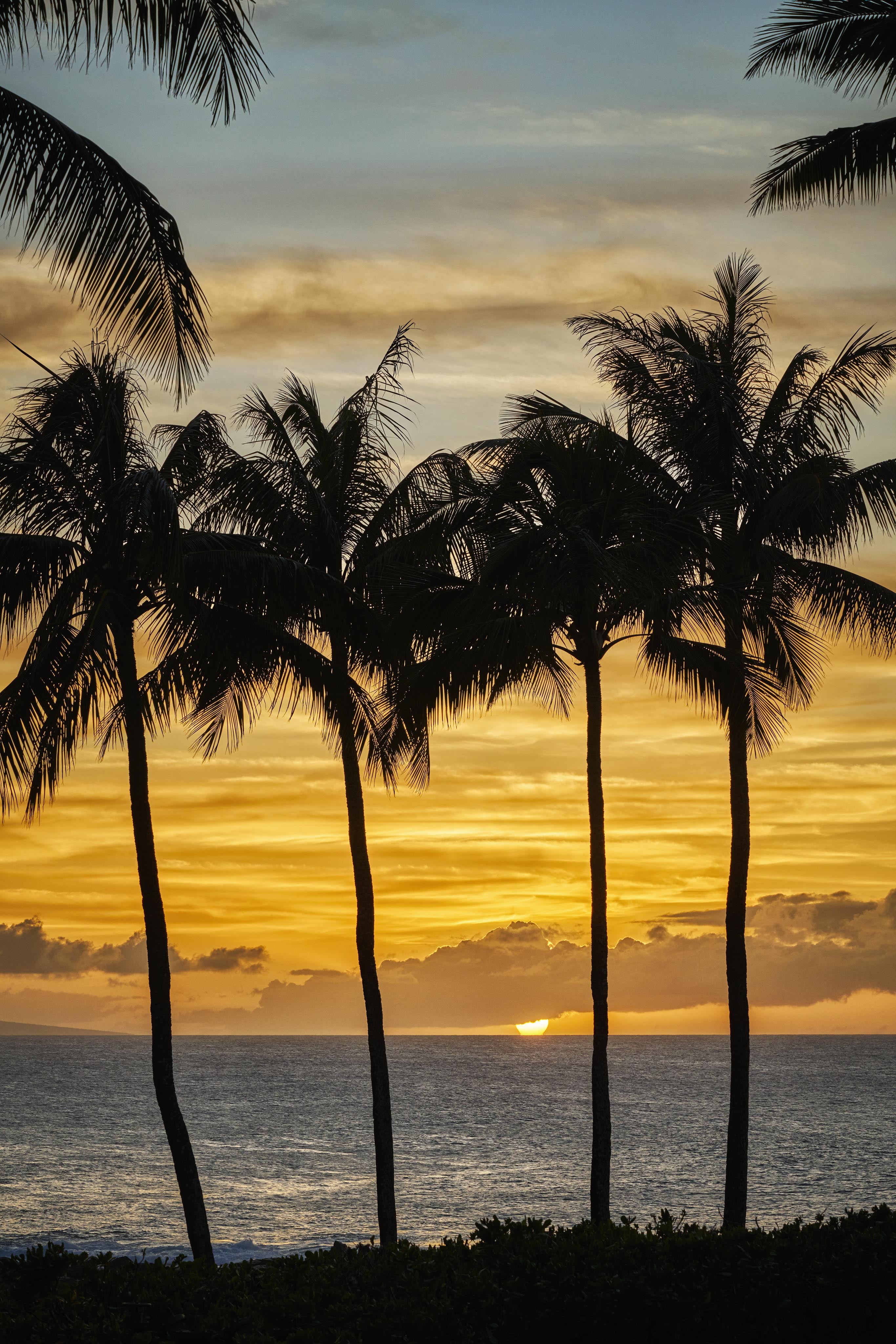 advertising-resort-montage