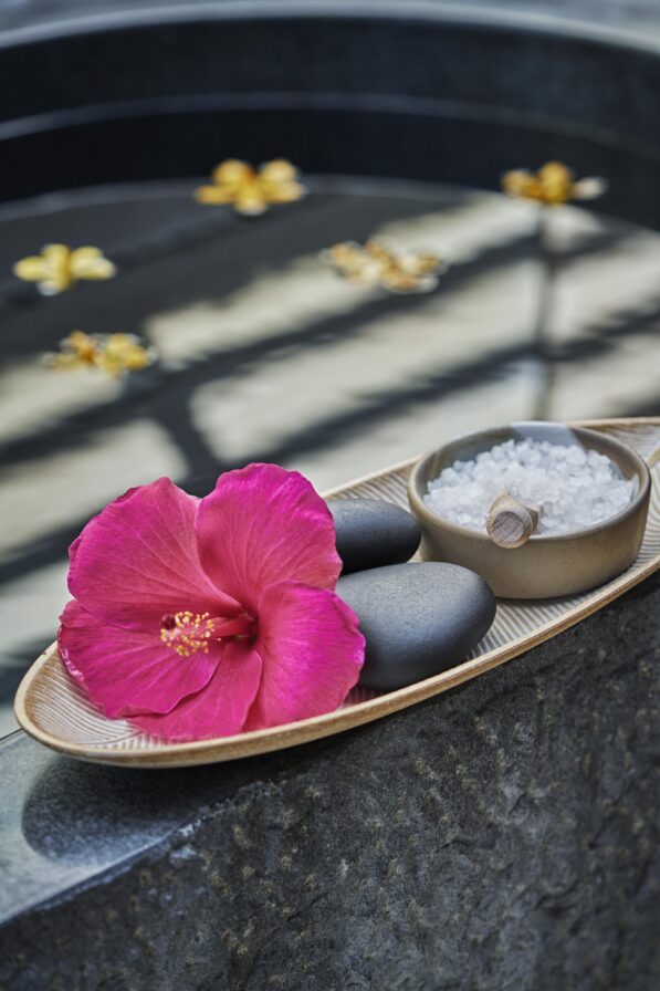 luxury-traveler-hawaii-elite