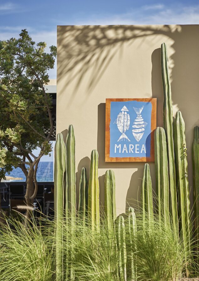Architectural vignette of Los Cabos restaurant exterior with "Marea" signage; sagura cactus lining wall.
