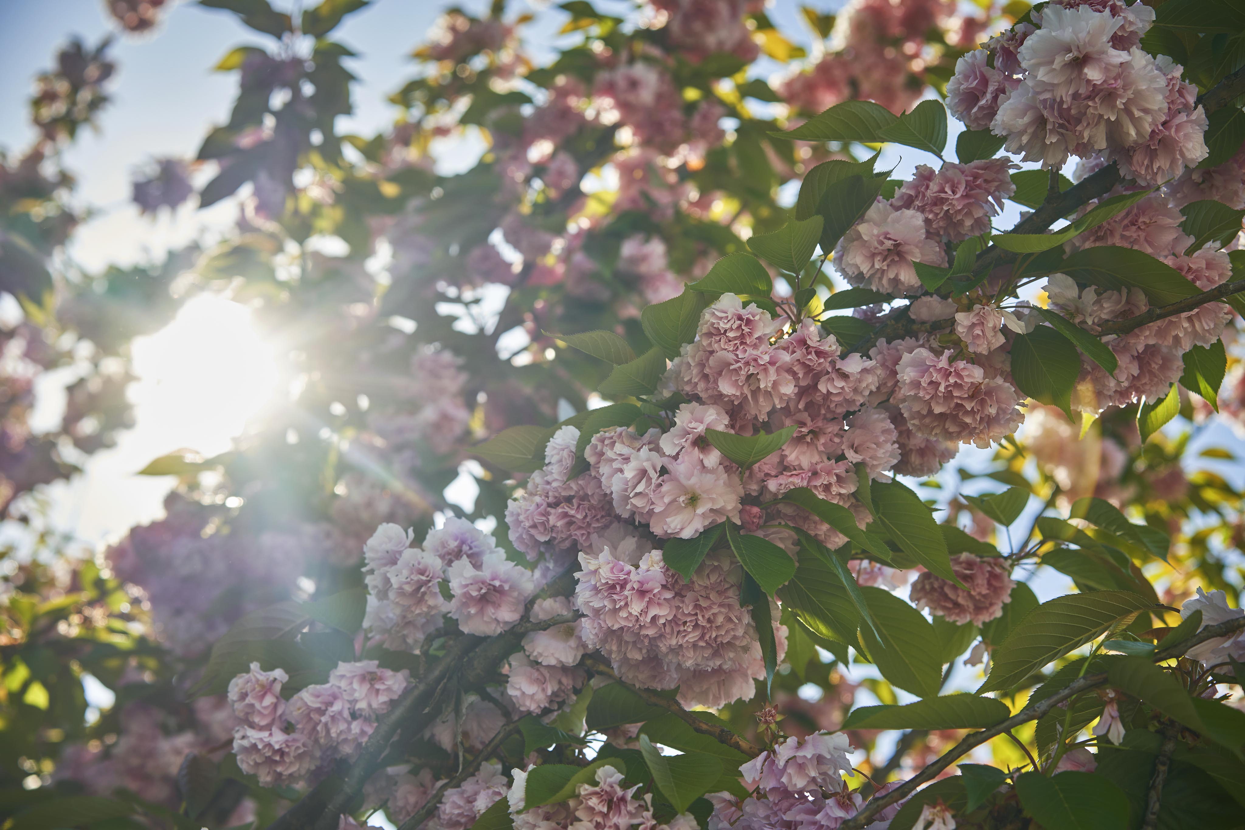 destination-details-travel