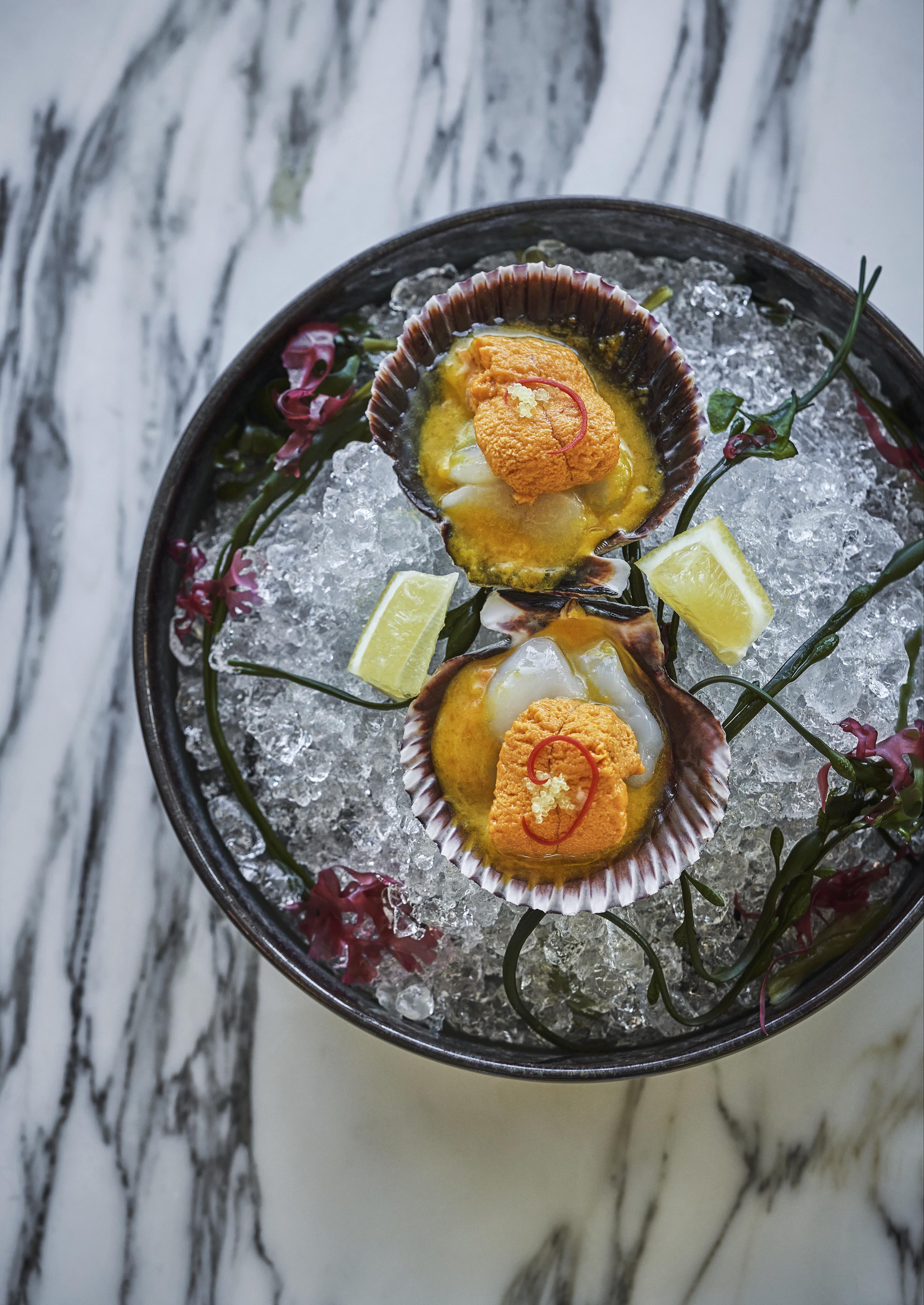Stunningly plated scallops with uni and lemon wedges on ice in a dark bowl, garnished with seaweed served from Pendry West Hollywood fine dining restaurant; Merois.